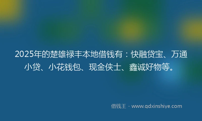 2025年的楚雄禄丰本地借钱有：快融贷宝、万通小贷、小花钱包、现金侠士、鑫诚好物等。