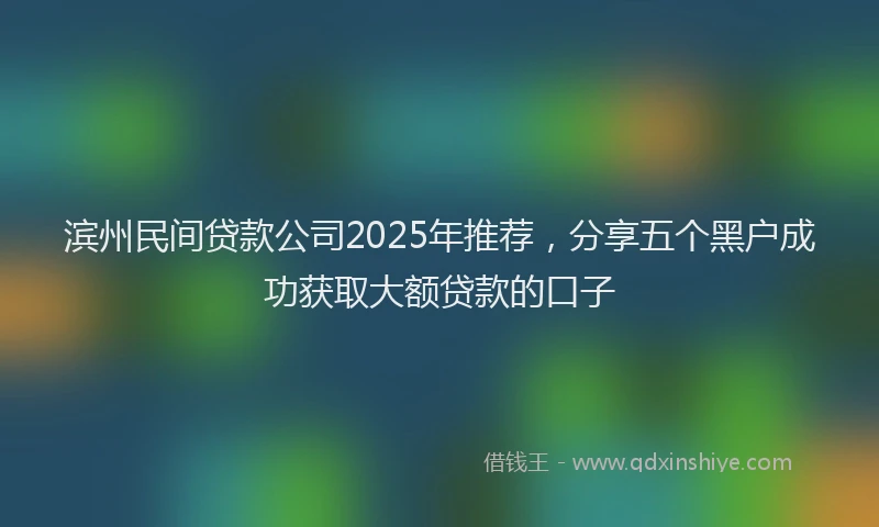 滨州民间贷款公司2025年推荐，分享五个黑户成功获取大额贷款的口子