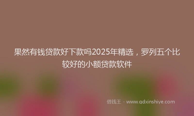 果然有钱贷款好下款吗2025年精选，罗列五个比较好的小额贷款软件