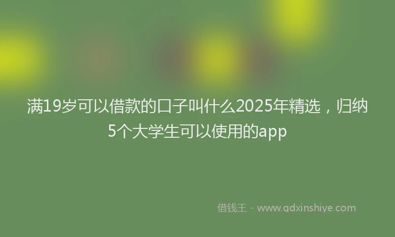 满19岁可以借款的口子叫什么2025年精选，归纳5个大学生可以使用的app