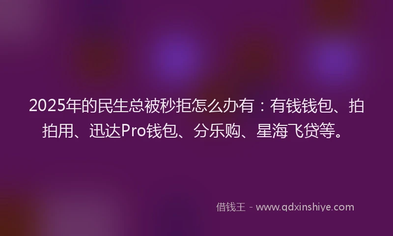 2025年的民生总被秒拒怎么办有：有钱钱包、拍拍用、迅达Pro钱包、分乐购、星海飞贷等。