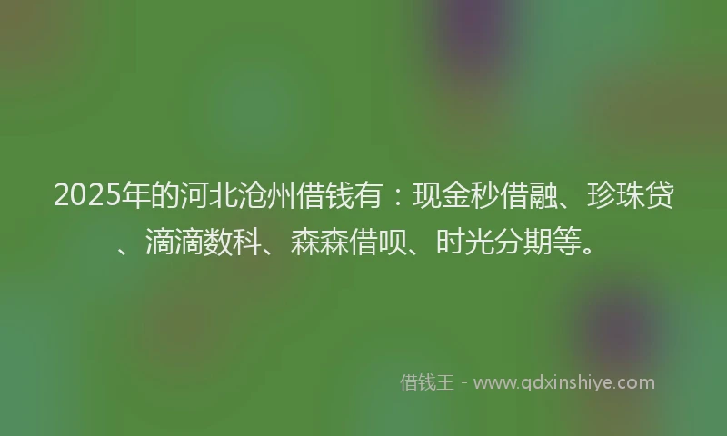 2025年的河北沧州借钱有：现金秒借融、珍珠贷、滴滴数科、森森借呗、时光分期等。