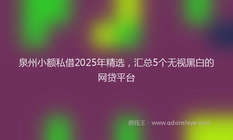 泉州小额私借2025年精选，汇总5个无视黑白的网贷平台