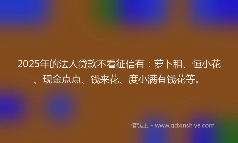 2025年的法人贷款不看征信有：萝卜租、恒小花、现金点点、钱来花、度小满有钱花等。