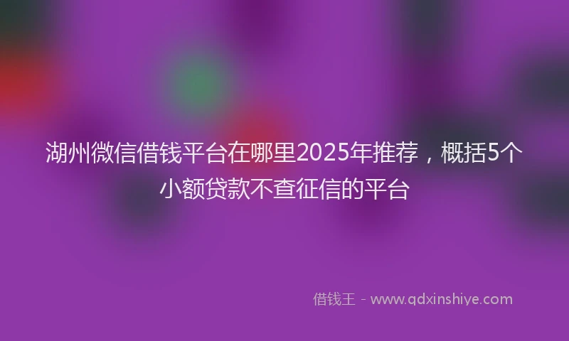 湖州微信借钱平台在哪里2025年推荐，概括5个小额贷款不查征信的平台