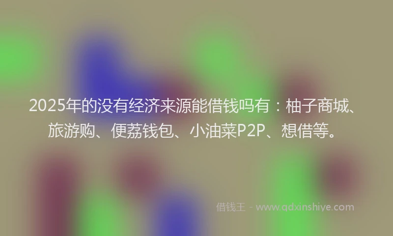 2025年的没有经济来源能借钱吗有：柚子商城、旅游购、便荔钱包、小油菜P2P、想借等。