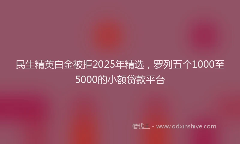 民生精英白金被拒2025年精选，罗列五个1000至5000的小额贷款平台