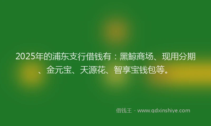 2025年的浦东支行借钱有：黑鲸商场、现用分期、金元宝、天源花、智享宝钱包等。