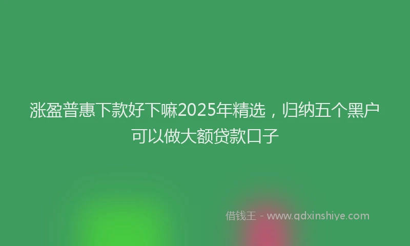 涨盈普惠下款好下嘛2025年精选，归纳五个黑户可以做大额贷款口子