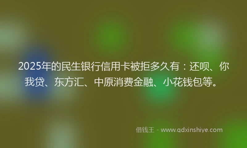 2025年的民生银行信用卡被拒多久有：还呗、你我贷、东方汇、中原消费金融、小花钱包等。
