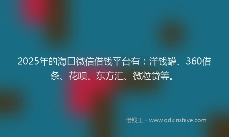 2025年的海口微信借钱平台有：洋钱罐、360借条、花呗、东方汇、微粒贷等。