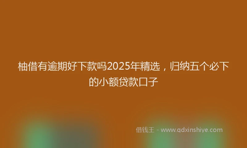 柚借有逾期好下款吗2025年精选，归纳五个必下的小额贷款口子