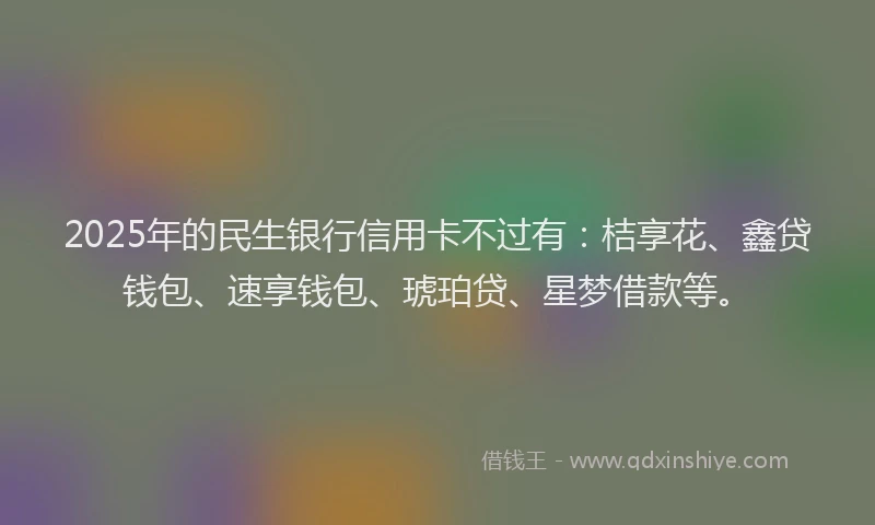 2025年的民生银行信用卡不过有：桔享花、鑫贷钱包、速享钱包、琥珀贷、星梦借款等。