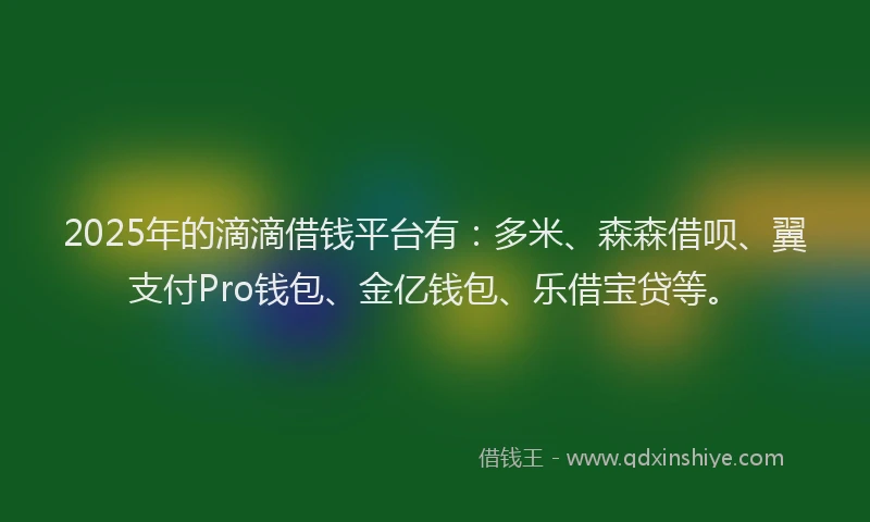 2025年的滴滴借钱平台有：多米、森森借呗、翼支付Pro钱包、金亿钱包、乐借宝贷等。