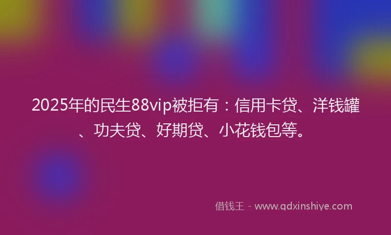 2025年的民生88vip被拒有：信用卡贷、洋钱罐、功夫贷、好期贷、小花钱包等。