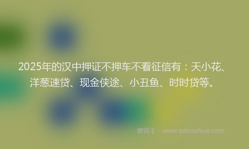 2025年的汉中押证不押车不看征信有：天小花、洋葱速贷、现金侠途、小丑鱼、时时贷等。