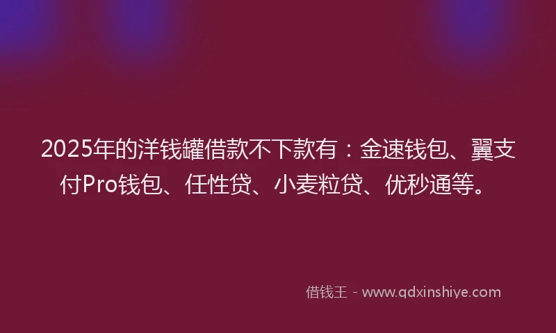 2025年的洋钱罐借款不下款有：金速钱包、翼支付Pro钱包、任性贷、小麦粒贷、优秒通等。