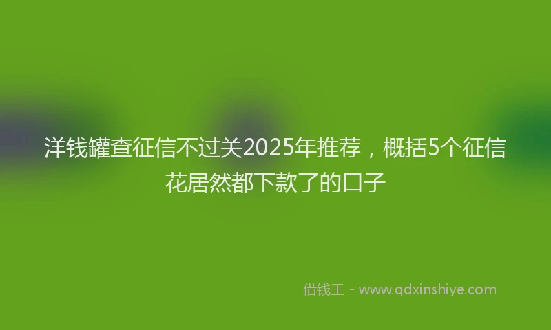 洋钱罐查征信不过关2025年推荐，概括5个征信花居然都下款了的口子