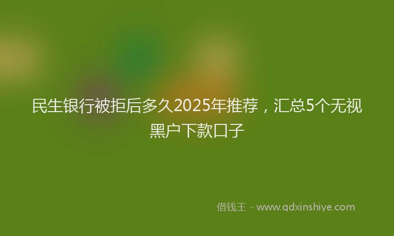民生银行被拒后多久2025年推荐，汇总5个无视黑户下款口子
