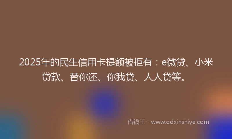 2025年的民生信用卡提额被拒有：e微贷、小米贷款、替你还、你我贷、人人贷等。