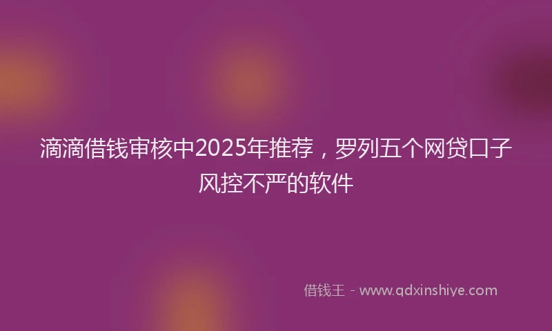 滴滴借钱审核中2025年推荐，罗列五个网贷口子风控不严的软件