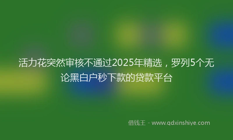 活力花突然审核不通过2025年精选，罗列5个无论黑白户秒下款的贷款平台