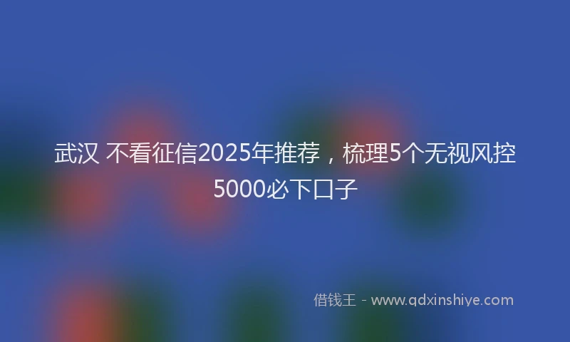 武汉 不看征信2025年推荐，梳理5个无视风控5000必下口子