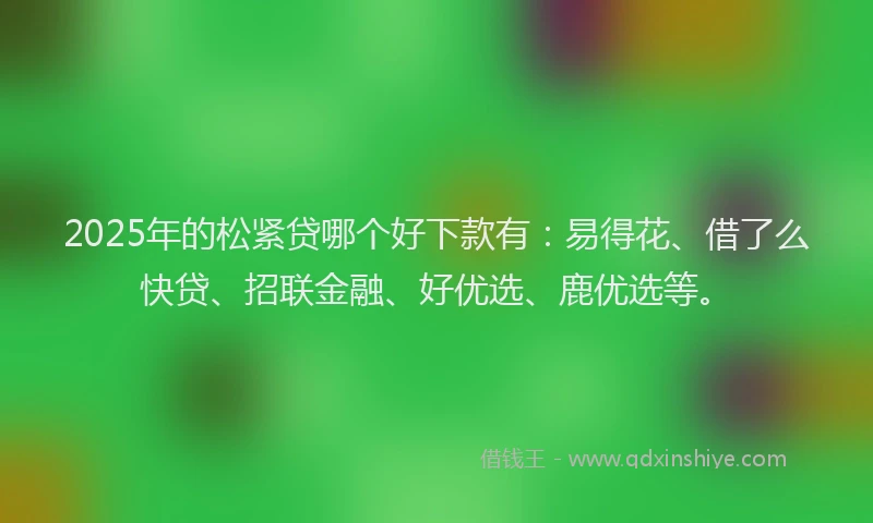 2025年的松紧贷哪个好下款有：易得花、借了么快贷、招联金融、好优选、鹿优选等。