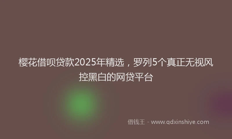樱花借呗贷款2025年精选，罗列5个真正无视风控黑白的网贷平台