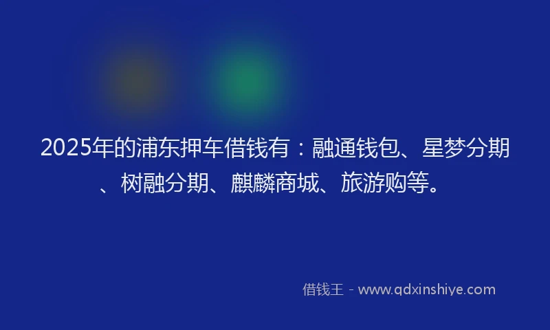 2025年的浦东押车借钱有：融通钱包、星梦分期、树融分期、麒麟商城、旅游购等。