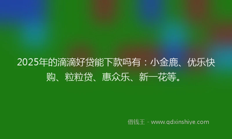 2025年的滴滴好贷能下款吗有：小金鹿、优乐快购、粒粒贷、惠众乐、新一花等。