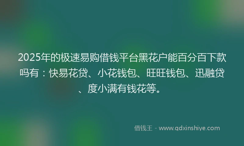 2025年的极速易购借钱平台黑花户能百分百下款吗有：快易花贷、小花钱包、旺旺钱包、迅融贷、度小满有钱花等。