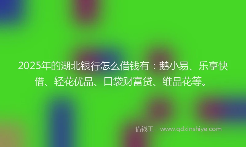 2025年的湖北银行怎么借钱有：鹅小易、乐享快借、轻花优品、口袋财富贷、维品花等。