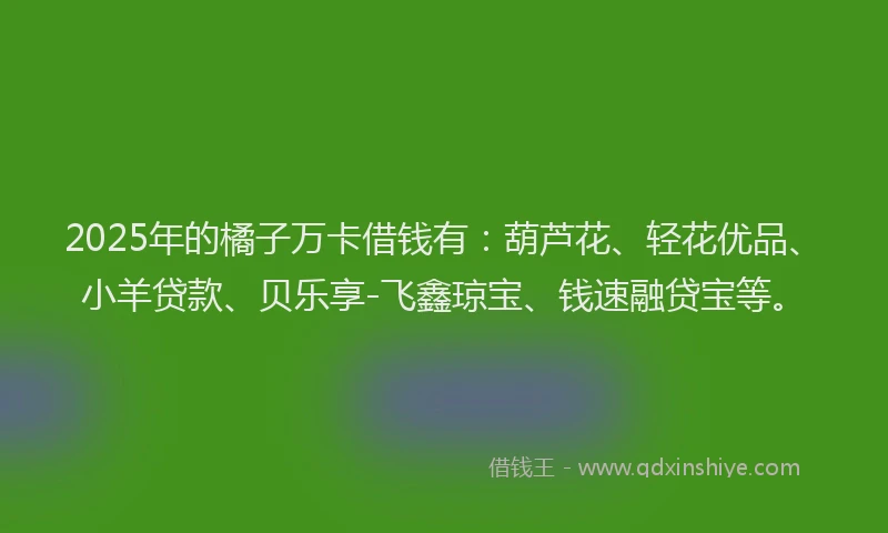 2025年的橘子万卡借钱有：葫芦花、轻花优品、小羊贷款、贝乐享-飞鑫琼宝、钱速融贷宝等。