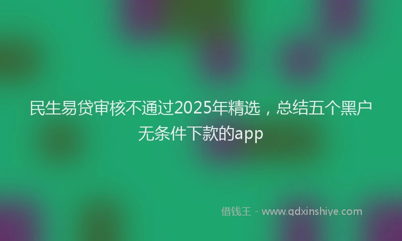 民生易贷审核不通过2025年精选，总结五个黑户无条件下款的app
