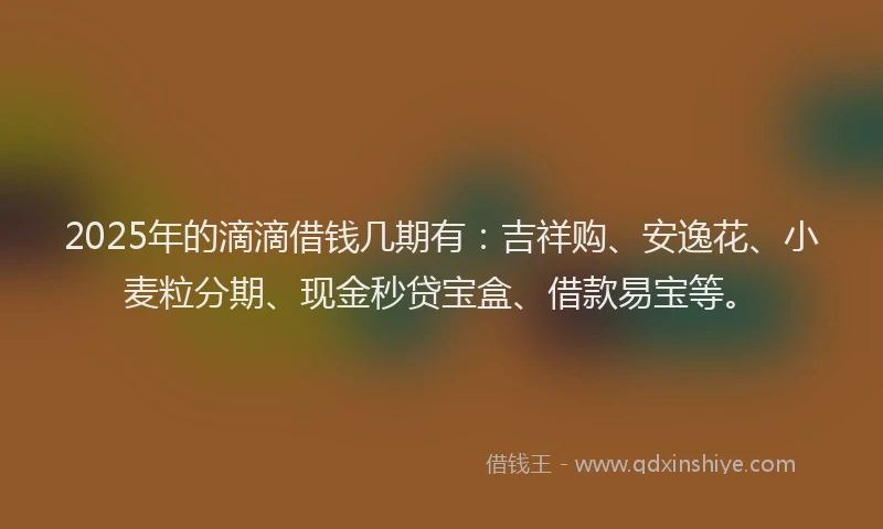 2025年的滴滴借钱几期有：吉祥购、安逸花、小麦粒分期、现金秒贷宝盒、借款易宝等。