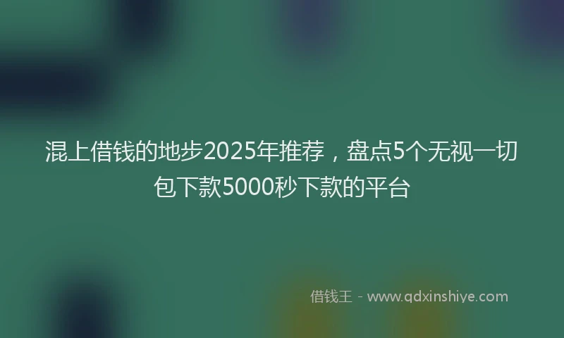 混上借钱的地步2025年推荐，盘点5个无视一切包下款5000秒下款的平台