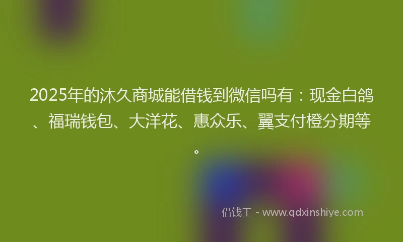 2025年的沐久商城能借钱到微信吗有：现金白鸽、福瑞钱包、大洋花、惠众乐、翼支付橙分期等。
