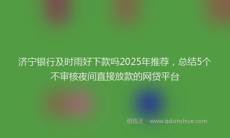 济宁银行及时雨好下款吗2025年推荐，总结5个不审核夜间直接放款的网贷平台