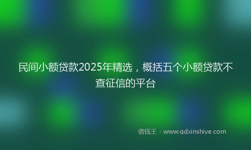 民间小额贷款2025年精选，概括五个小额贷款不查征信的平台
