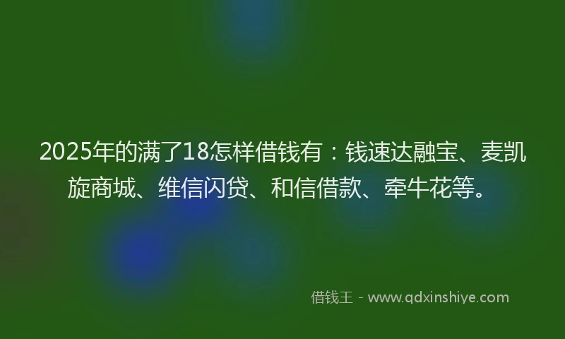 2025年的满了18怎样借钱有：钱速达融宝、麦凯旋商城、维信闪贷、和信借款、牵牛花等。