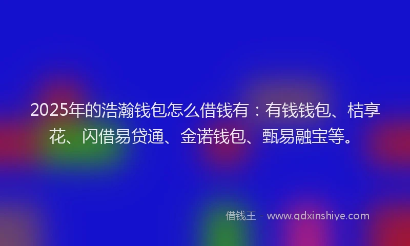2025年的浩瀚钱包怎么借钱有：有钱钱包、桔享花、闪借易贷通、金诺钱包、甄易融宝等。