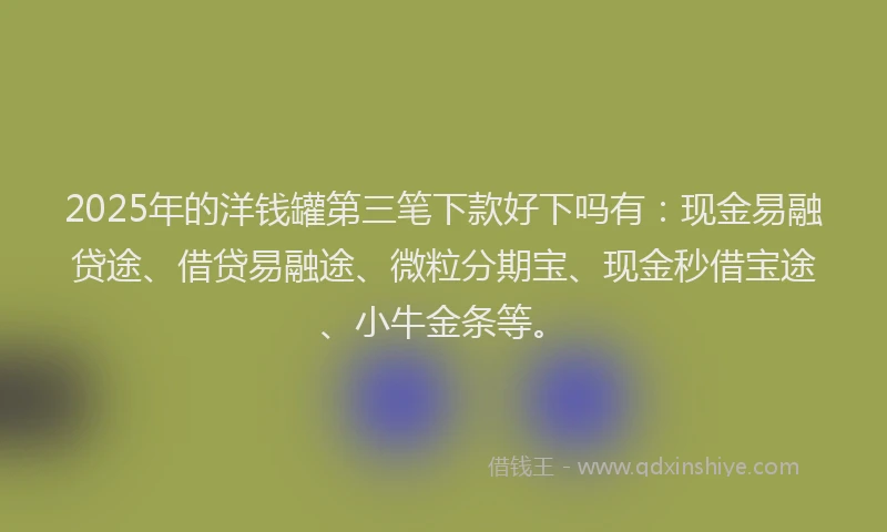 2025年的洋钱罐第三笔下款好下吗有：现金易融贷途、借贷易融途、微粒分期宝、现金秒借宝途、小牛金条等。