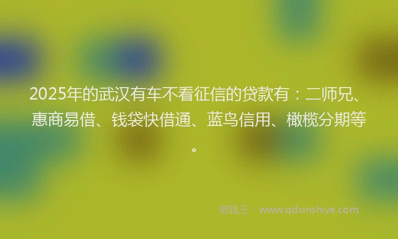 2025年的武汉有车不看征信的贷款有：二师兄、惠商易借、钱袋快借通、蓝鸟信用、橄榄分期等。