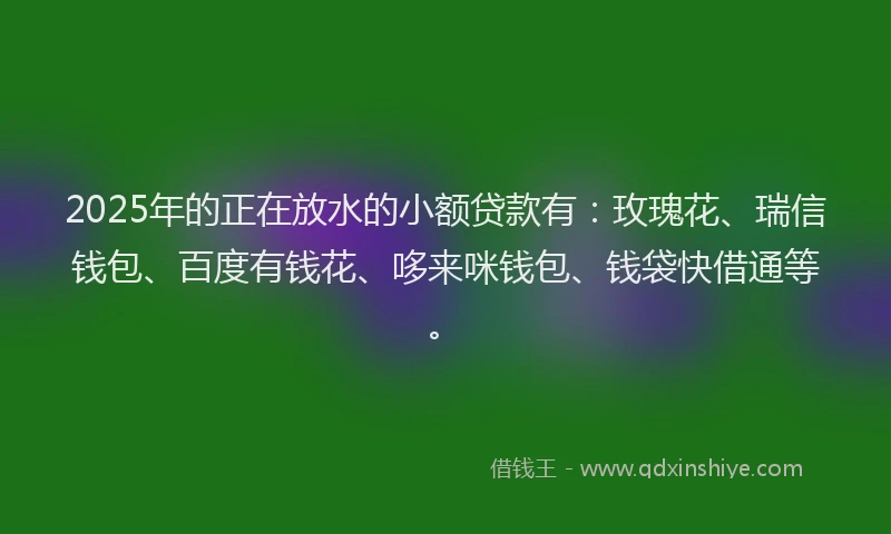 2025年的正在放水的小额贷款有：玫瑰花、瑞信钱包、百度有钱花、哆来咪钱包、钱袋快借通等。