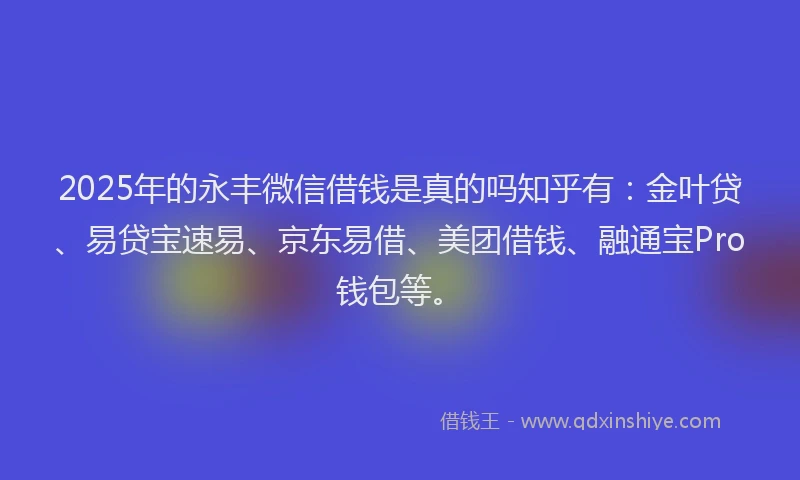 2025年的永丰微信借钱是真的吗知乎有：金叶贷、易贷宝速易、京东易借、美团借钱、融通宝Pro钱包等。