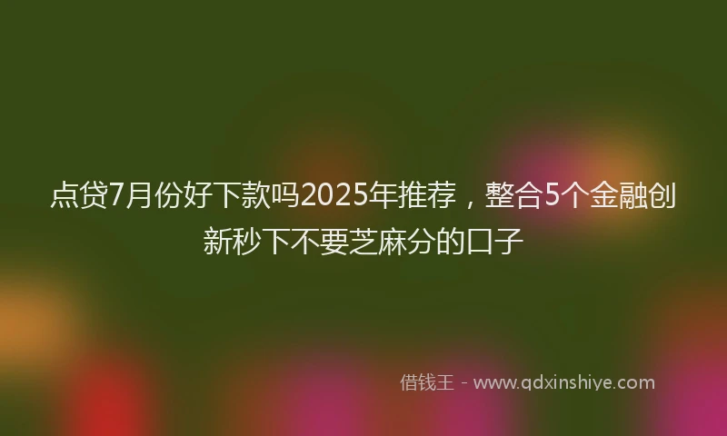 点贷7月份好下款吗2025年推荐，整合5个金融创新秒下不要芝麻分的口子