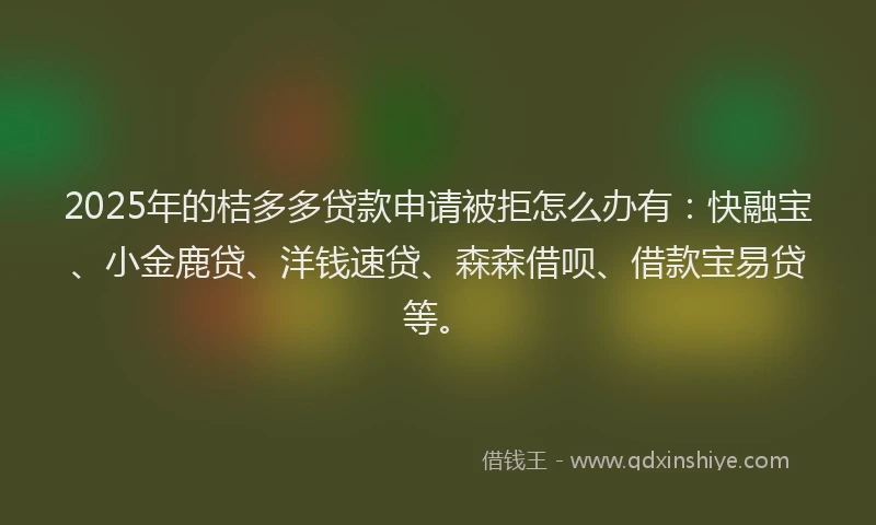 2025年的桔多多贷款申请被拒怎么办有：快融宝、小金鹿贷、洋钱速贷、森森借呗、借款宝易贷等。