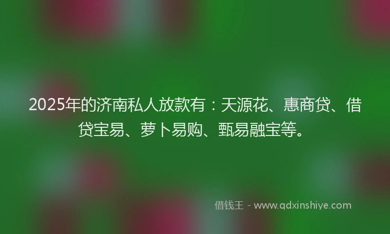 2025年的济南私人放款有：天源花、惠商贷、借贷宝易、萝卜易购、甄易融宝等。