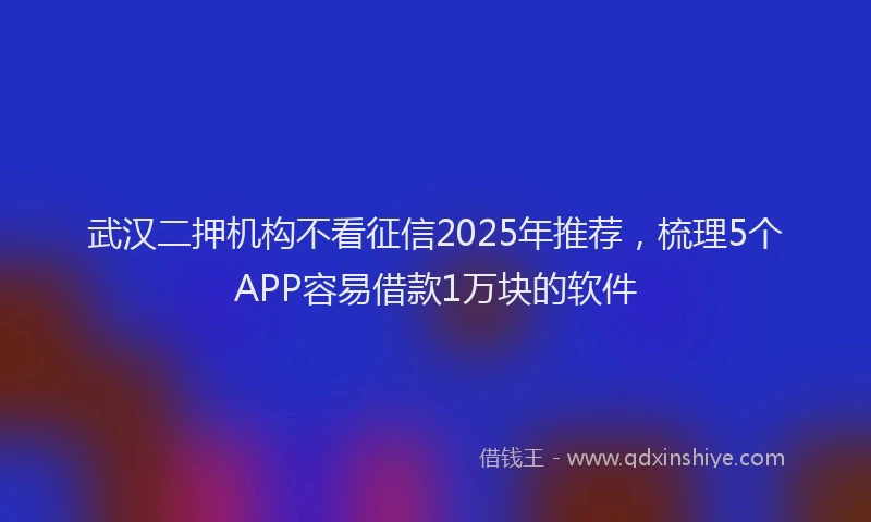 武汉二押机构不看征信2025年推荐，梳理5个APP容易借款1万块的软件